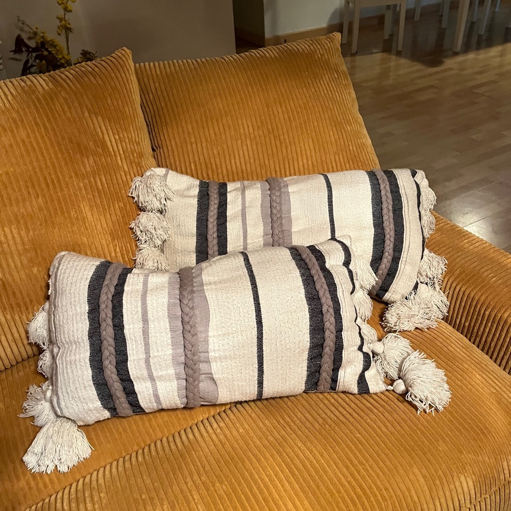 Oversized Oblong Handwoven Cotton Tassel Trim Throw Pillows (2)